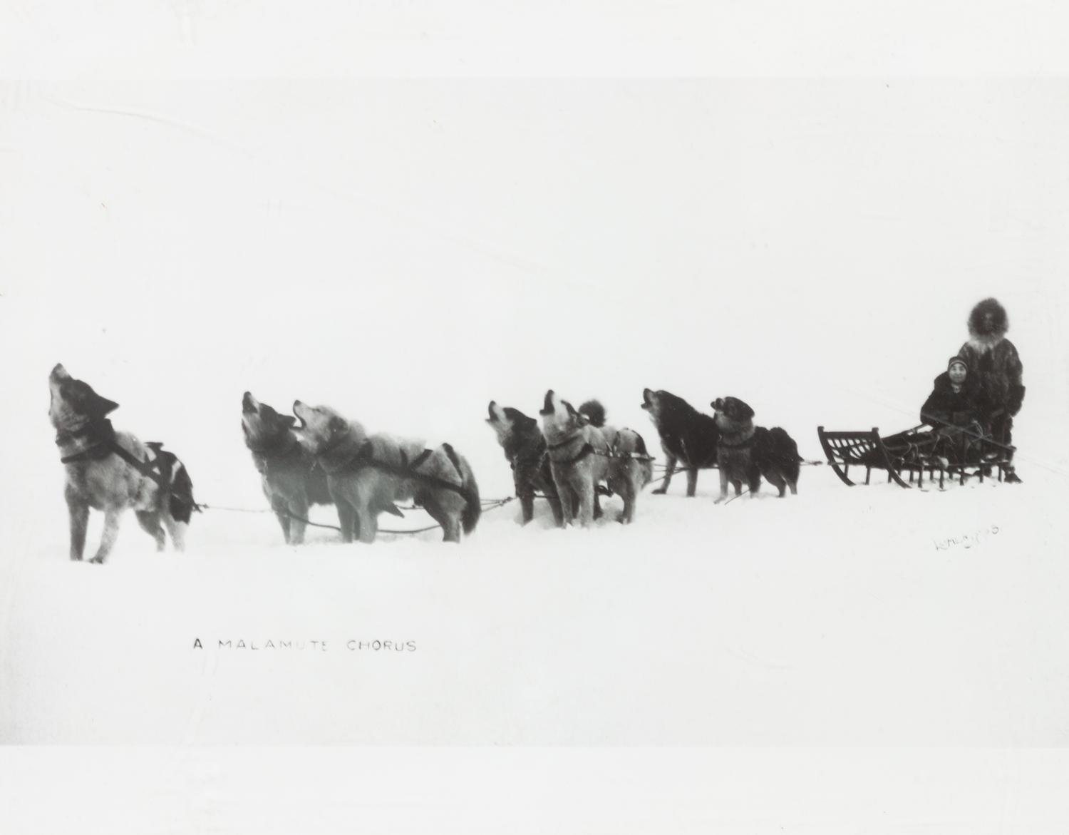 Eight Photographs of Alaskan Dog Sledding Each: 11 x 14 inches.