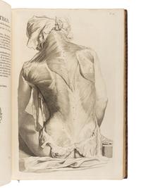 COWPER, William (1666-1709). Anatomia Corporum Humanorum Centum et Viginti Tabulis... ad Vivum expressis . Utrecht : Nicolaus Muntendam, 1750.