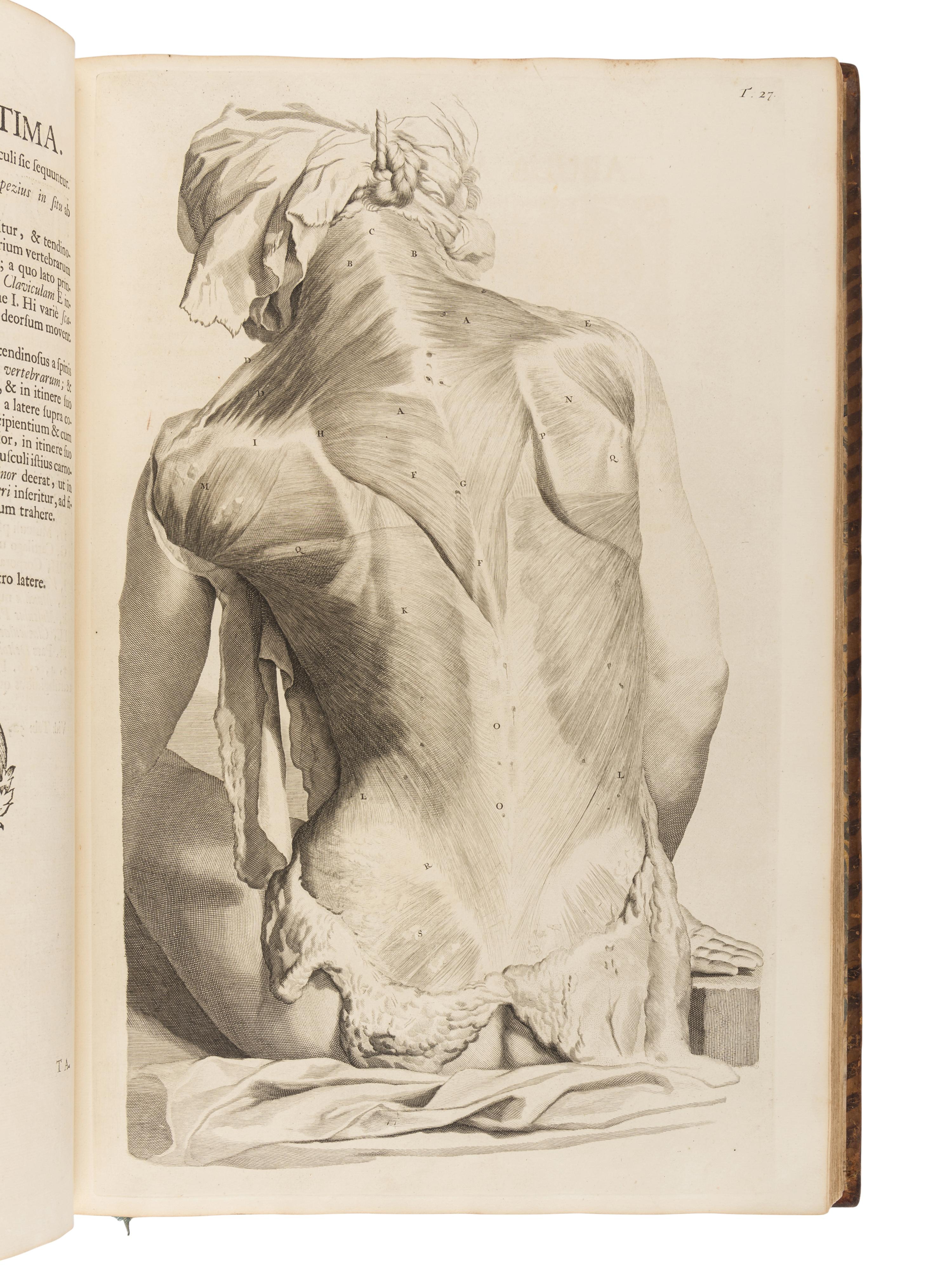 COWPER, William (1666-1709). Anatomia Corporum Humanorum Centum et Viginti Tabulis... ad Vivum expressis . Utrecht : Nicolaus Muntendam, 1750.