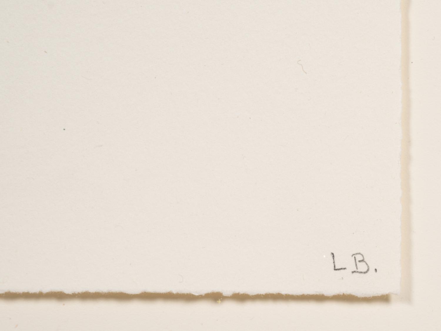 Untitled, no. 3 of 12 (Attempt at Meeting ; Hair) (from Anatomy)