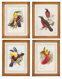 John Gould and Henry Constantine Richter (British, 19th Century)