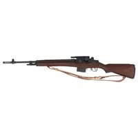 *Springfield Armory M1A
