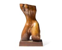 Torso