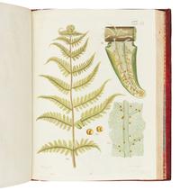 HEDWIG, Johann (1730-1799). Theoria Generationis et Fructificationis Plantarum Cryptogamicarum . St. Petersburg: typis Academiae Imper. Scientiarum, 1784.