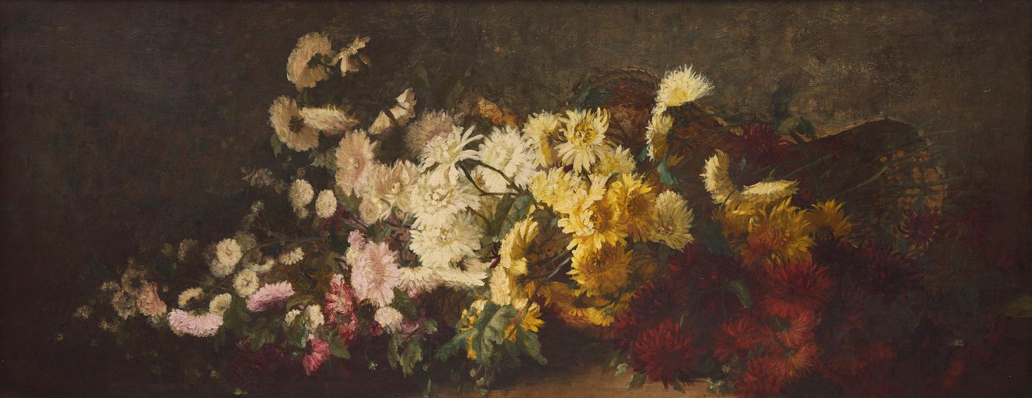 Chrysanthemums