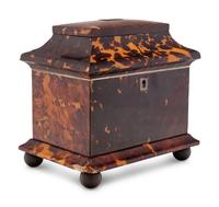 A Regency Tortoiseshell Tea Caddy