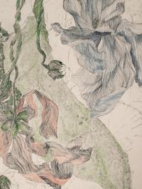 Hanging Garden