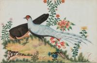 Six Chinese Export Pith Paintings