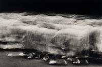 Untitled #884 P-97 (Stream Monk) , 1997