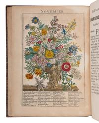 [NATURAL HISTORY]. FURBER, Robert (ca 1674-1756) and Richard BRADLEY (d.1732). The Flower-Garden Display'd, in above Four Hundred Curious Representations of the most Beautiful Flowers . London: R. Montagu, J. Brindley and C. Corbett, 1734.