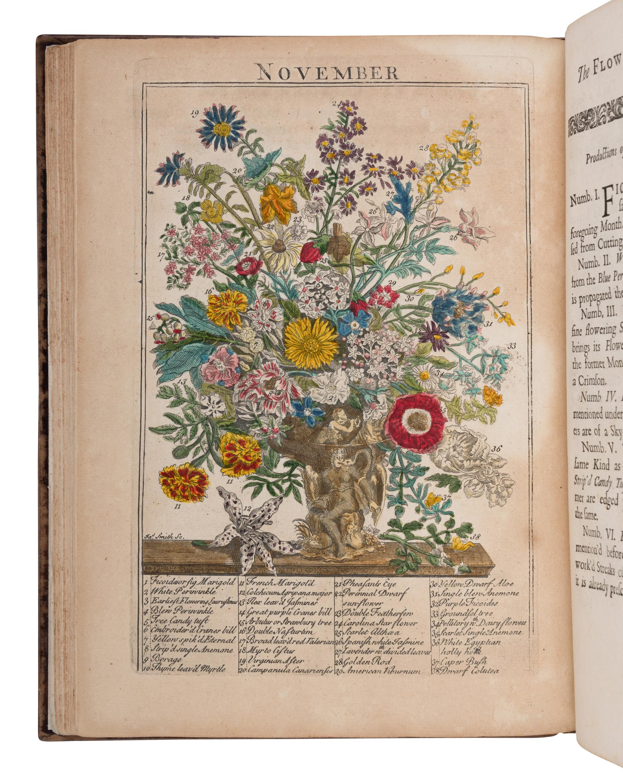 [NATURAL HISTORY]. FURBER, Robert (ca 1674-1756) and Richard BRADLEY (d.1732). The Flower-Garden Display'd, in above Four Hundred Curious Representations of the most Beautiful Flowers . London: R. Montagu, J. Brindley and C. Corbett, 1734.