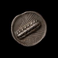 [ANCIENTS] LUCANIA. Metapontum (c. 530-510 BC). Ar Stater. (8.0 g, 22mm).