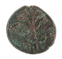 Judaea (132-135 CE), Bronze Unit — Bronze Unit