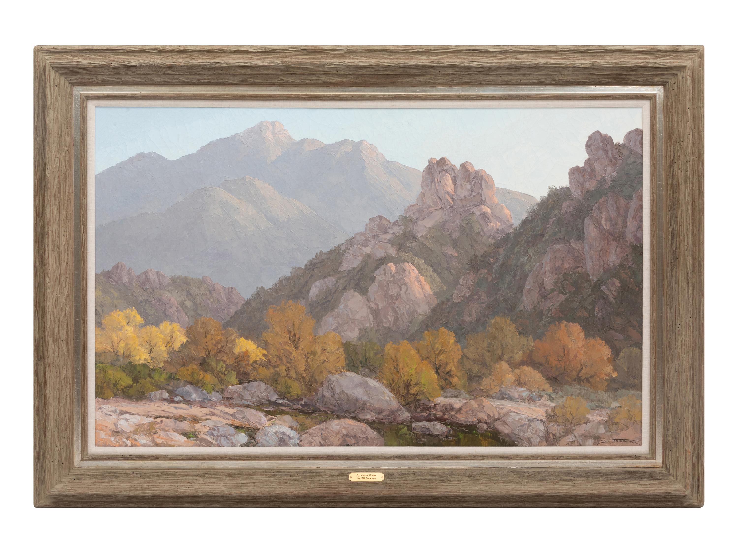 Sycamore Creek