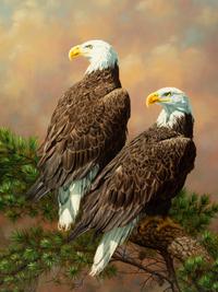 Eagles