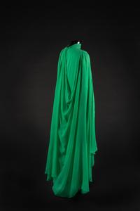 Dress and Shoes,1986. Dress design by Paul Zastupnevitch and made by Western Costume Company in Los Angeles — Worn by Olivia de Havilland for the Cesars in 1986 when she presented a Cesar d’Honneur to Bette Davis.