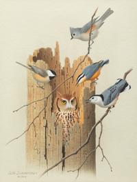 Group of Nine Works, American Bird Series, 1988