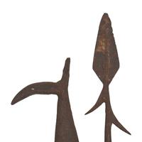 A Collection of Twenty-One Wrought Iron Eel Forks and Whaling Implements