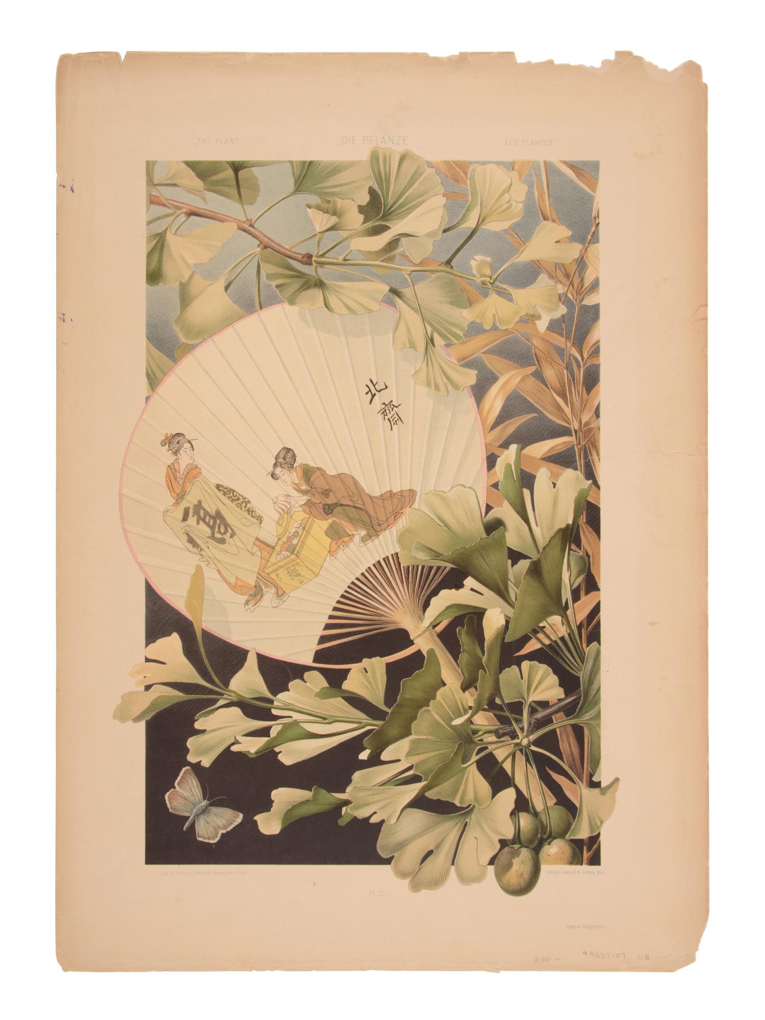 SEDER, Anton. Die Pflanze. Vienna: Gerlach & Schenk, ca 1890.