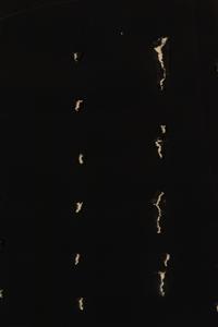 Concetto Spaziale