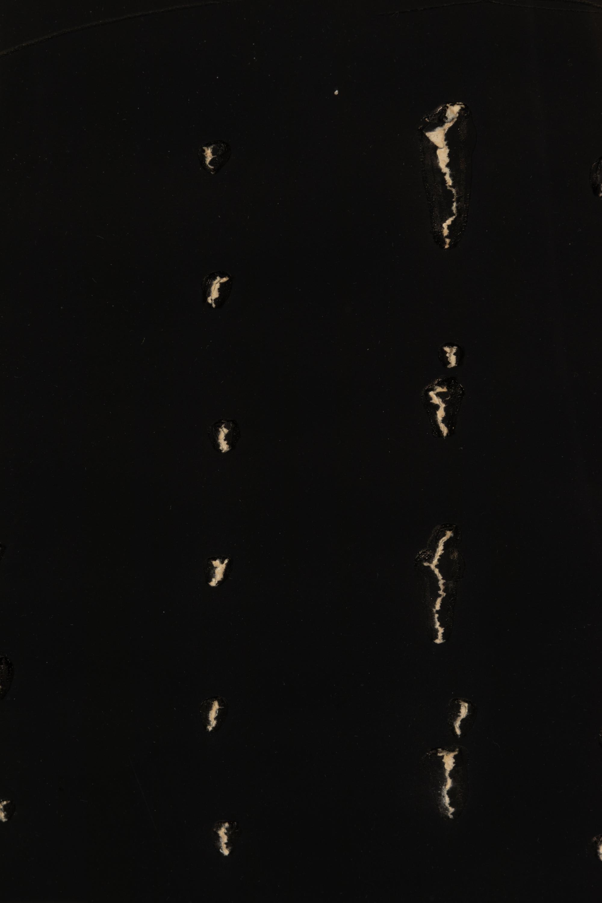 Concetto Spaziale