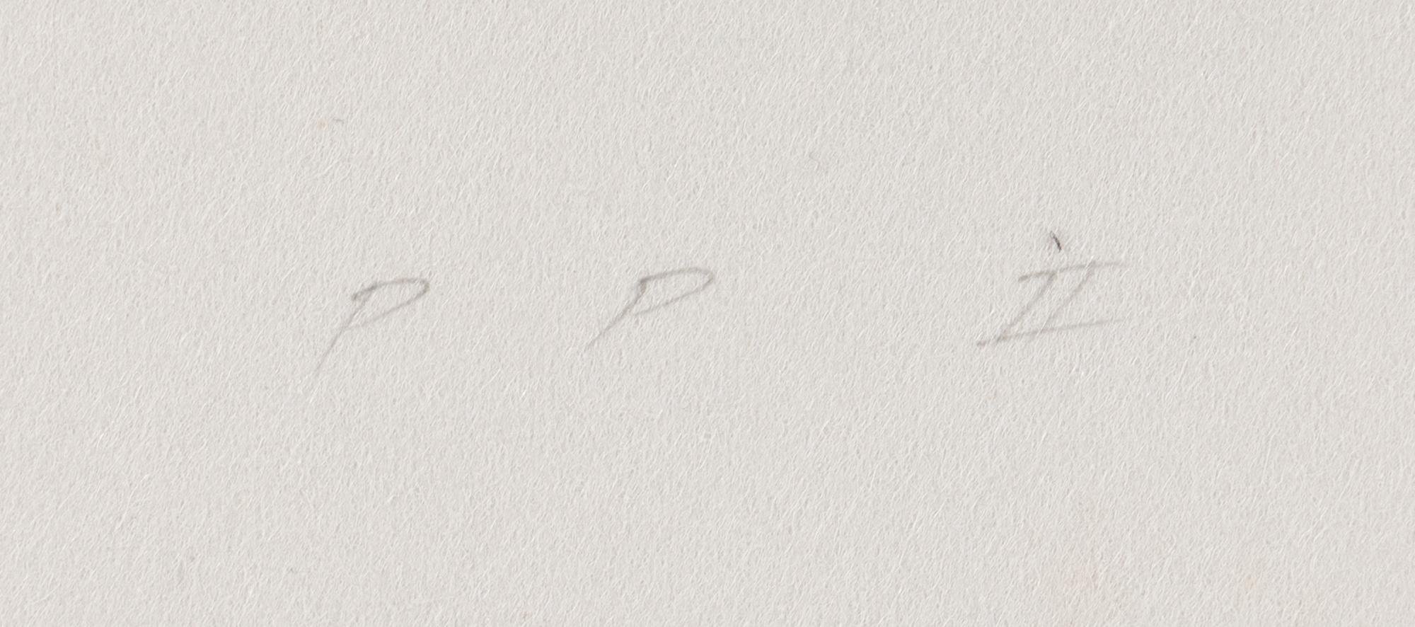 Constellation - Uccello , 1983