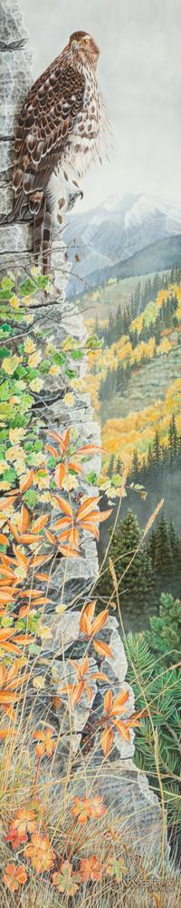 Autumn Hawk , 1992