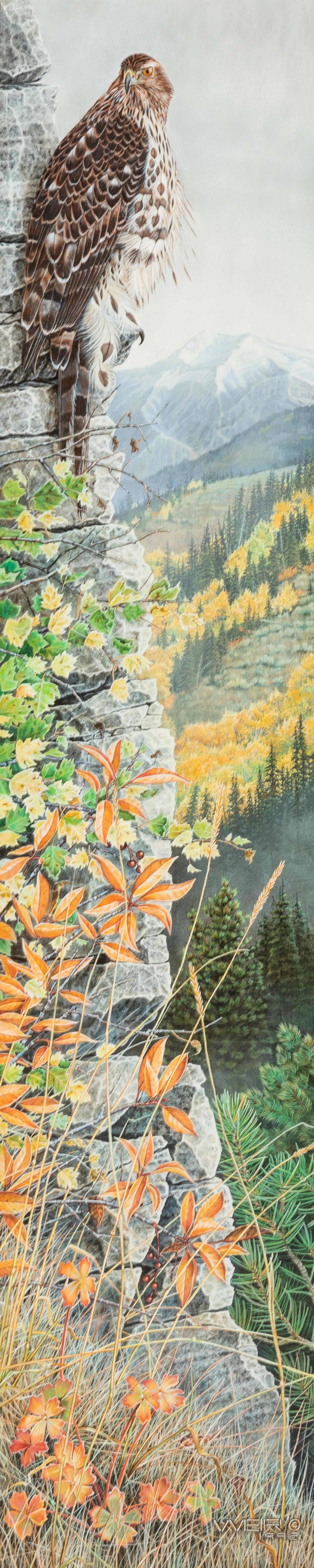 Autumn Hawk , 1992
