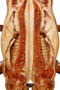 A Continental Carved and Polychrome Decorated Two Sided Butcher's Trade Sign