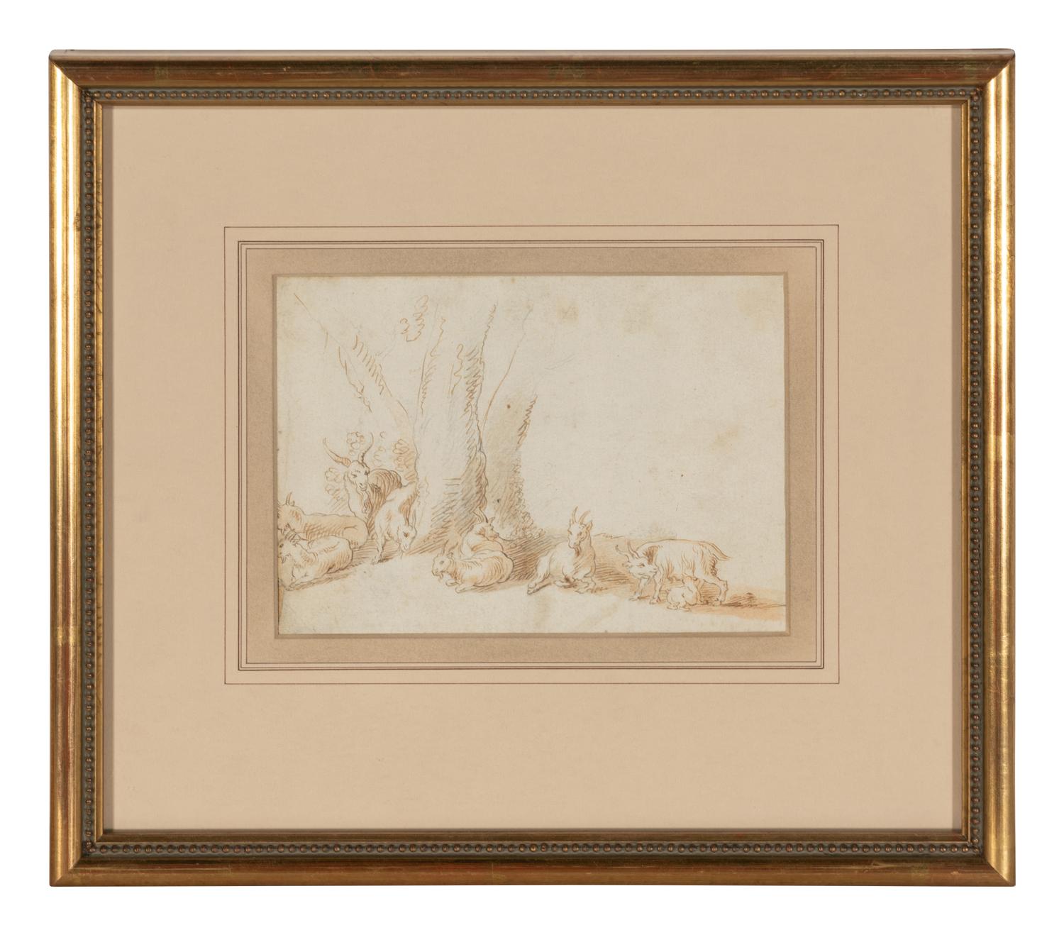 A Herd of Goats Resting by Trees
