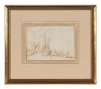 A Herd of Goats Resting by Trees