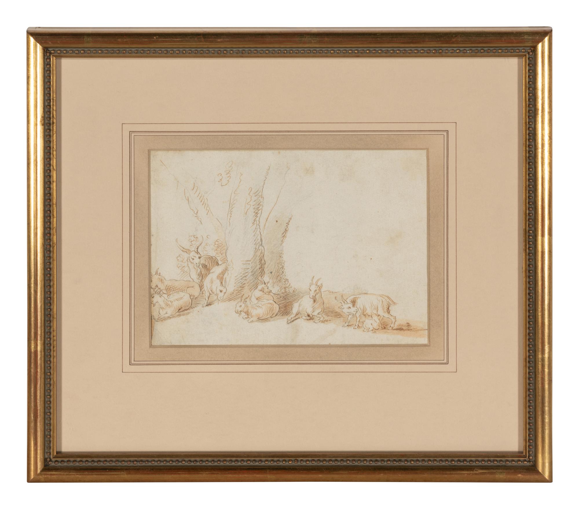 A Herd of Goats Resting by Trees