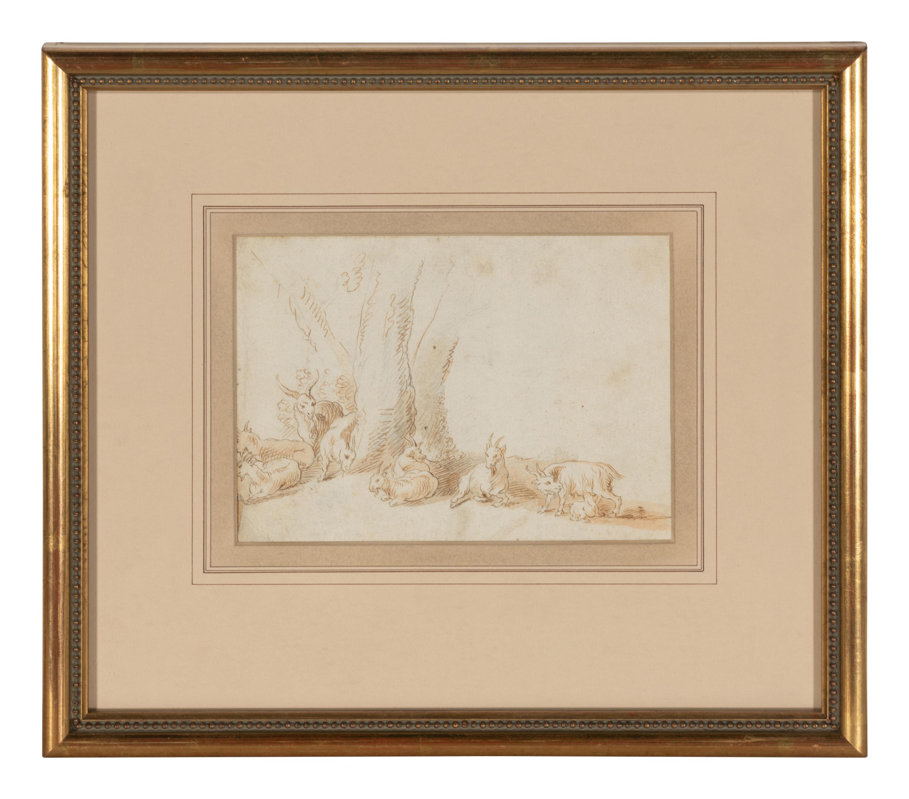 A Herd of Goats Resting by Trees