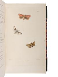 [NATURAL HISTORY]. STEPHENS, James Francis (1792-1852). Illustrations of British Entomology; or, a Synopsis of Indigenous Insects . London: for the author by Baldwin and Cradock, 1828-1846.