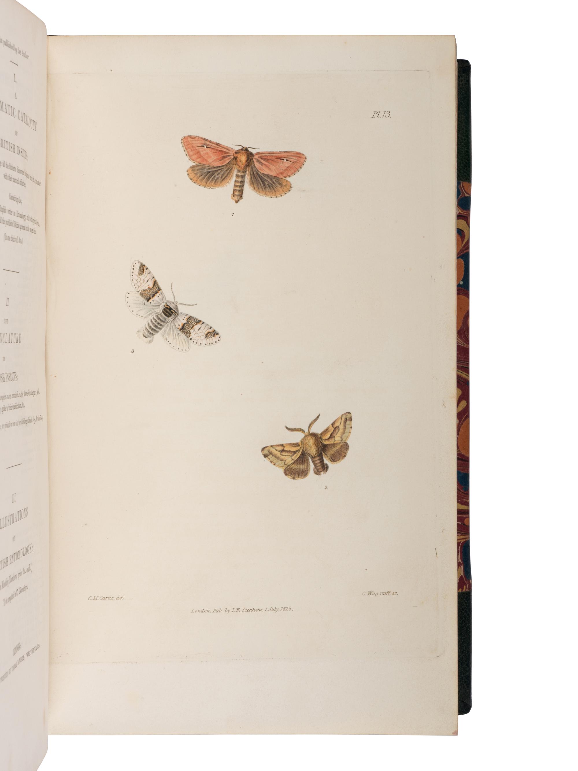 [NATURAL HISTORY]. STEPHENS, James Francis (1792-1852). Illustrations of British Entomology; or, a Synopsis of Indigenous Insects . London: for the author by Baldwin and Cradock, 1828-1846.