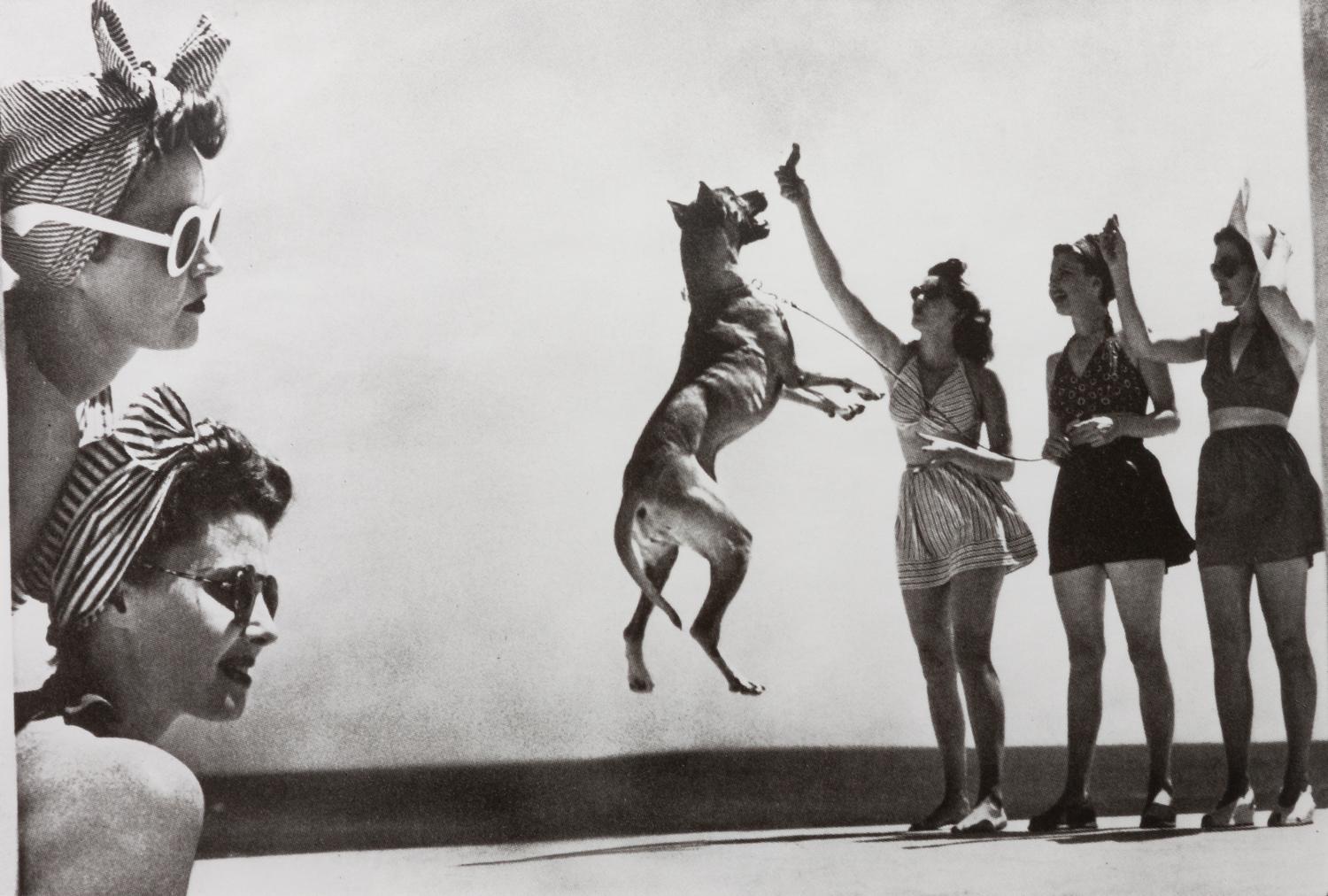 A Group of Ten Color Photographs depicting Various Dog Breeds Largest: 12 1/4 x 10 inches.