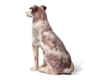 A Painted Terracotta Figure of a Dog