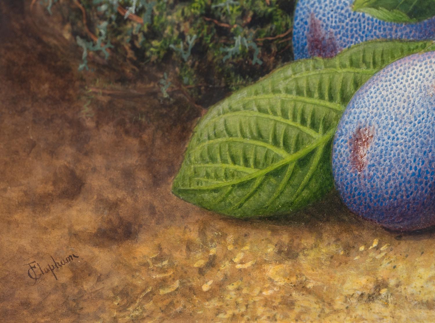 Still-Life of Fruit