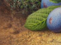 Still-Life of Fruit