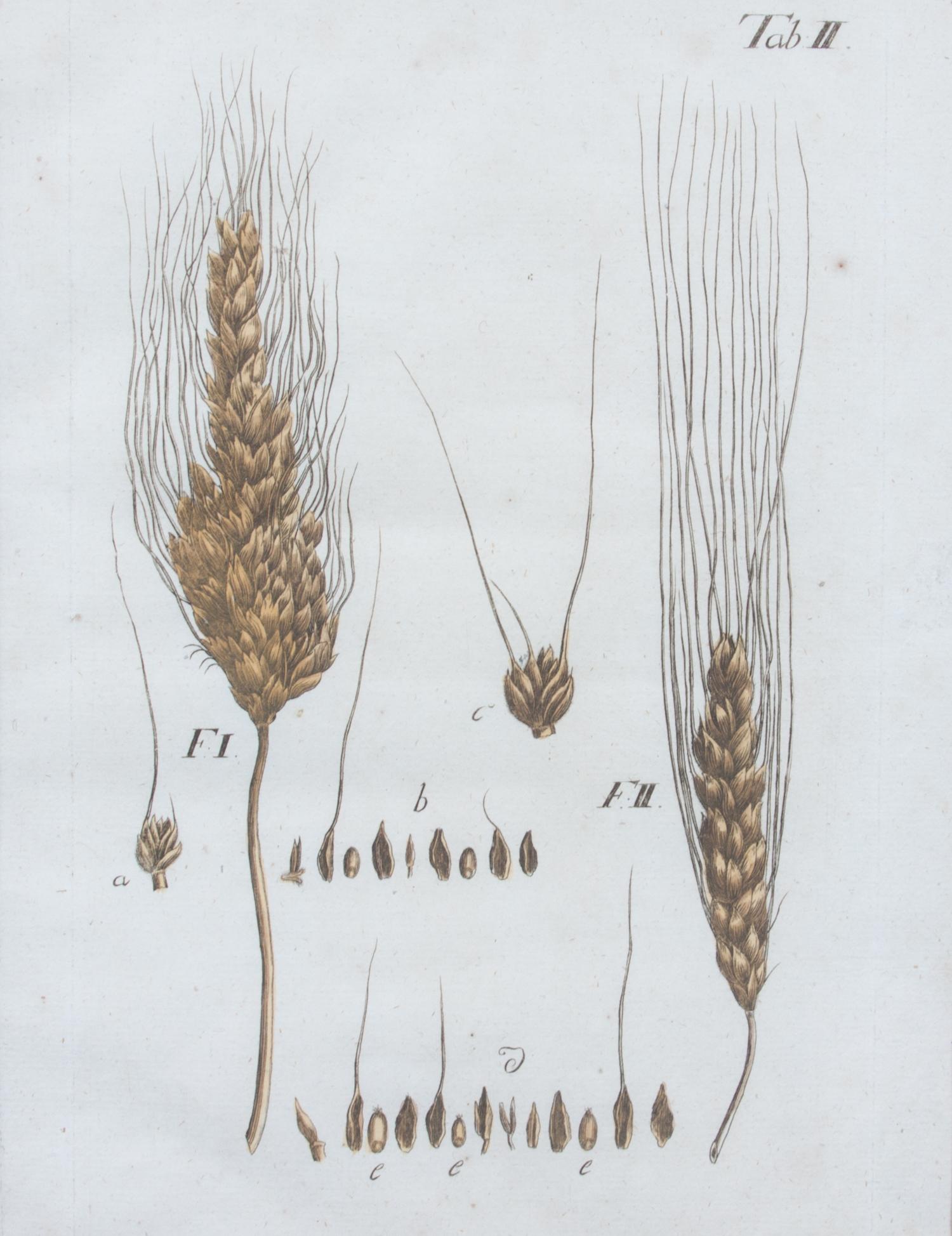 A Collection of Five Agricultural Prints Height of largest frame 21 1/2 x width 17 3/4 inches.