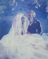 William Wegman, (American, b. 1943), Untitled (Wedding), 1992