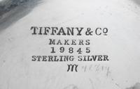 A Group of Silver Table Articles, various makers, comprising a candy dish marked for Tiffany & Co., New York, NY, a silver Zoomorphic f