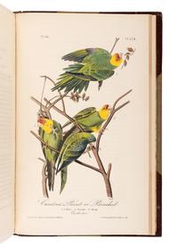 AUDUBON, John James (1785-1851). The Birds of America, from Drawings Made in the United States and their Territories . New York and Philadelphia: J.J. Audubon and J.B. Chevalier, [1839-] 1840-1844.
