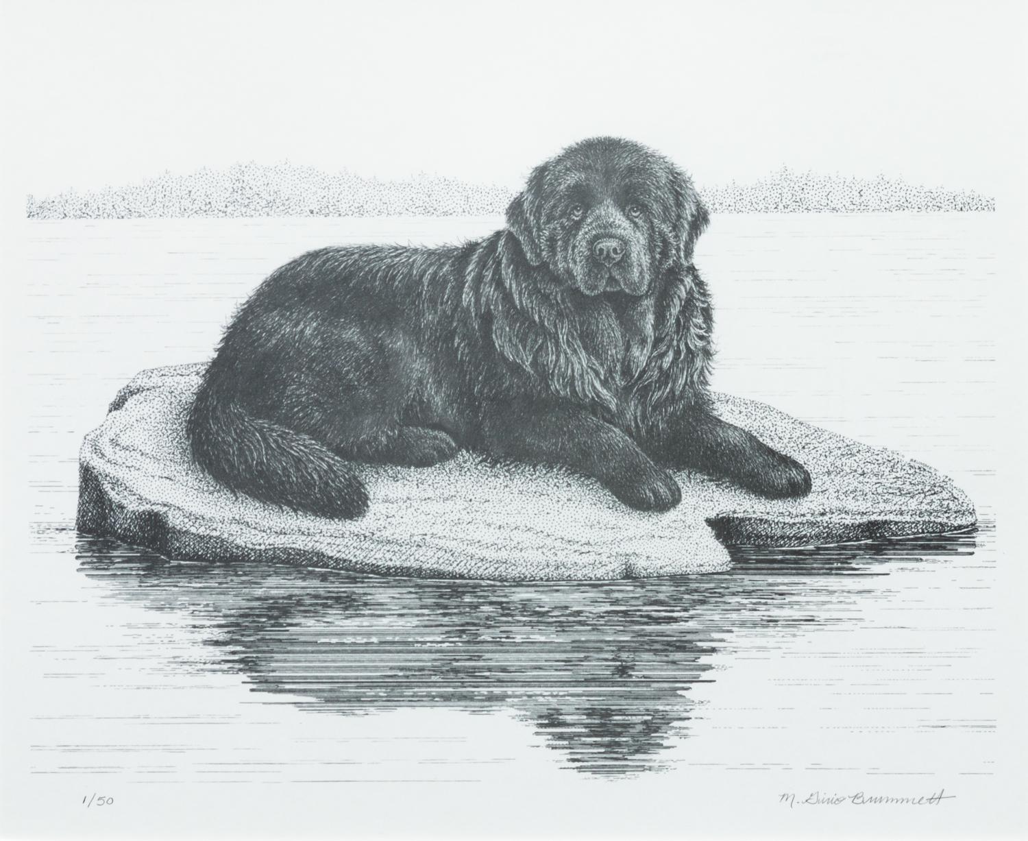 A Print of a Newfoundland 9 x 11 inches. — After Mario Girio Brummett