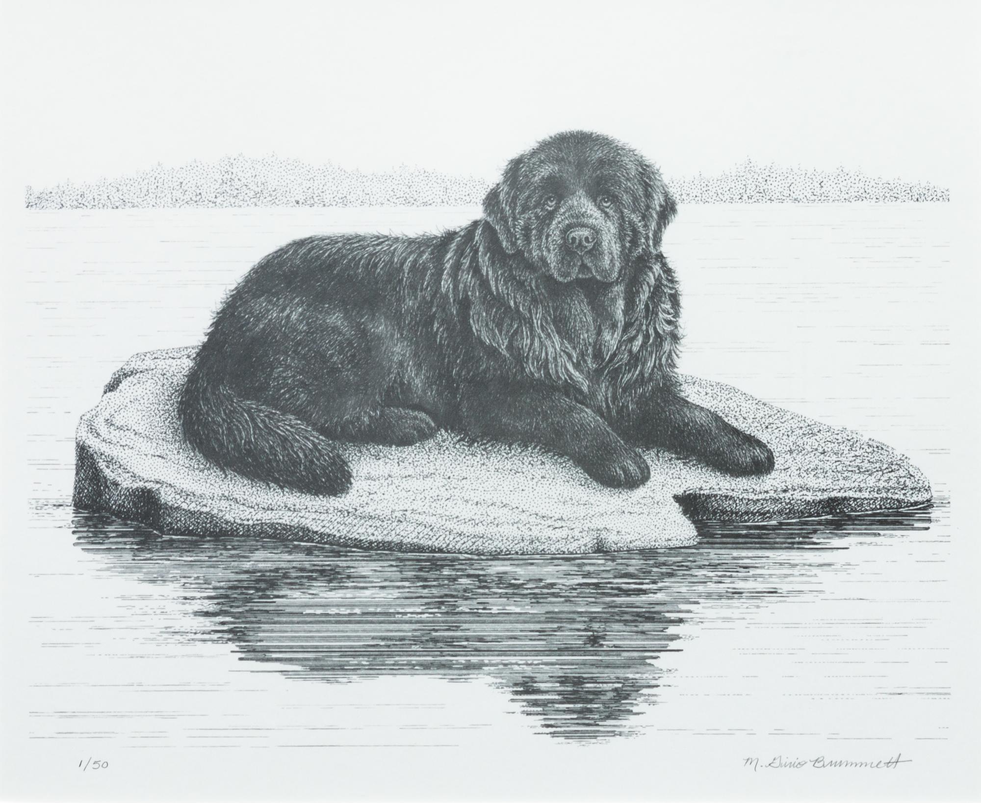 A Print of a Newfoundland 9 x 11 inches. — After Mario Girio Brummett