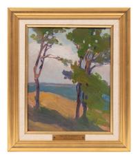 Trees on Seventeen Mile Drive, Carmel, California