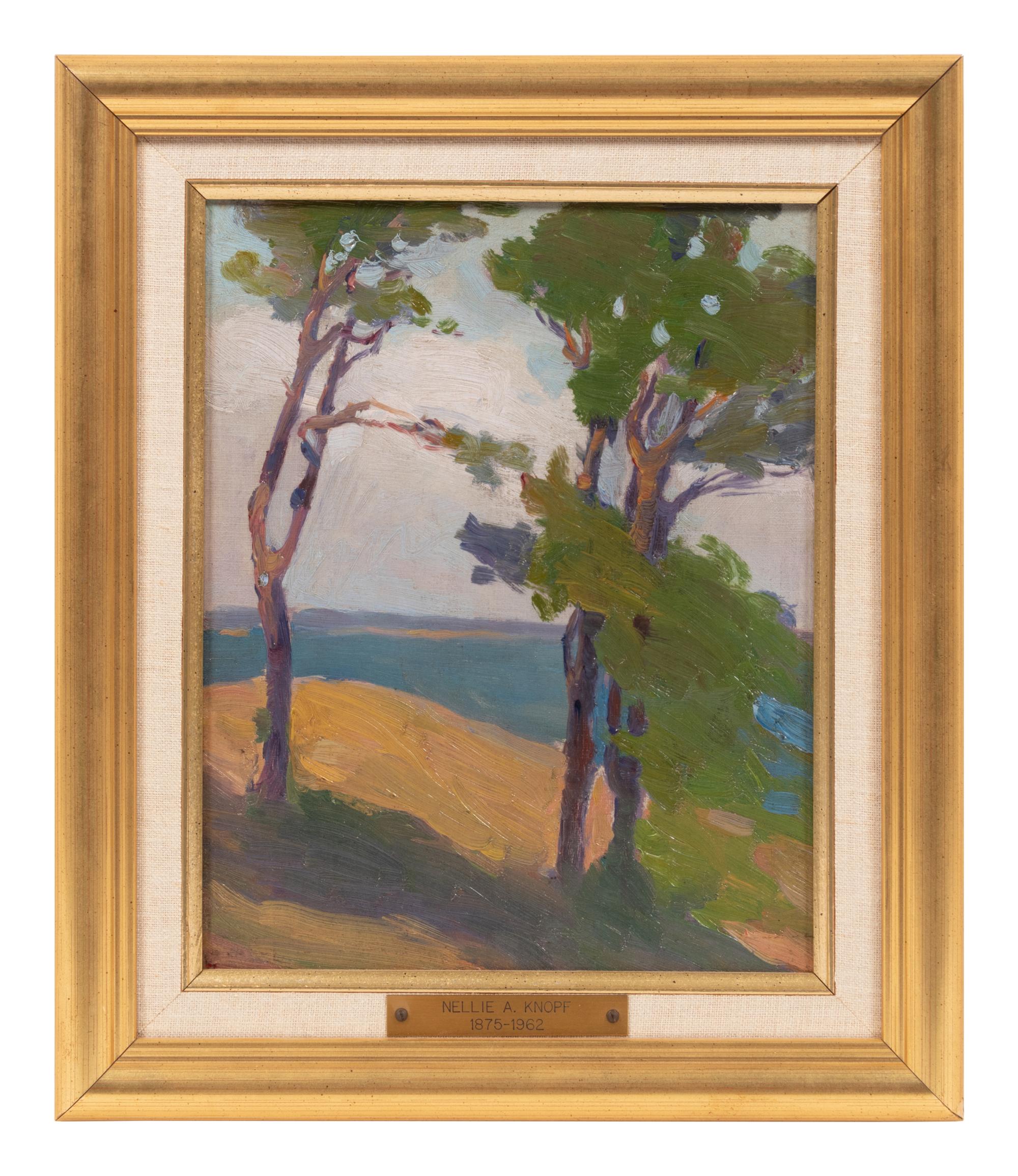 Trees on Seventeen Mile Drive, Carmel, California