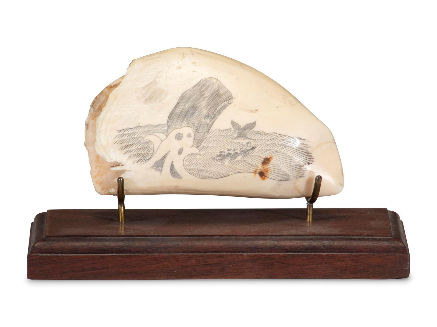 Three Scrimshaw Whale's Teeth