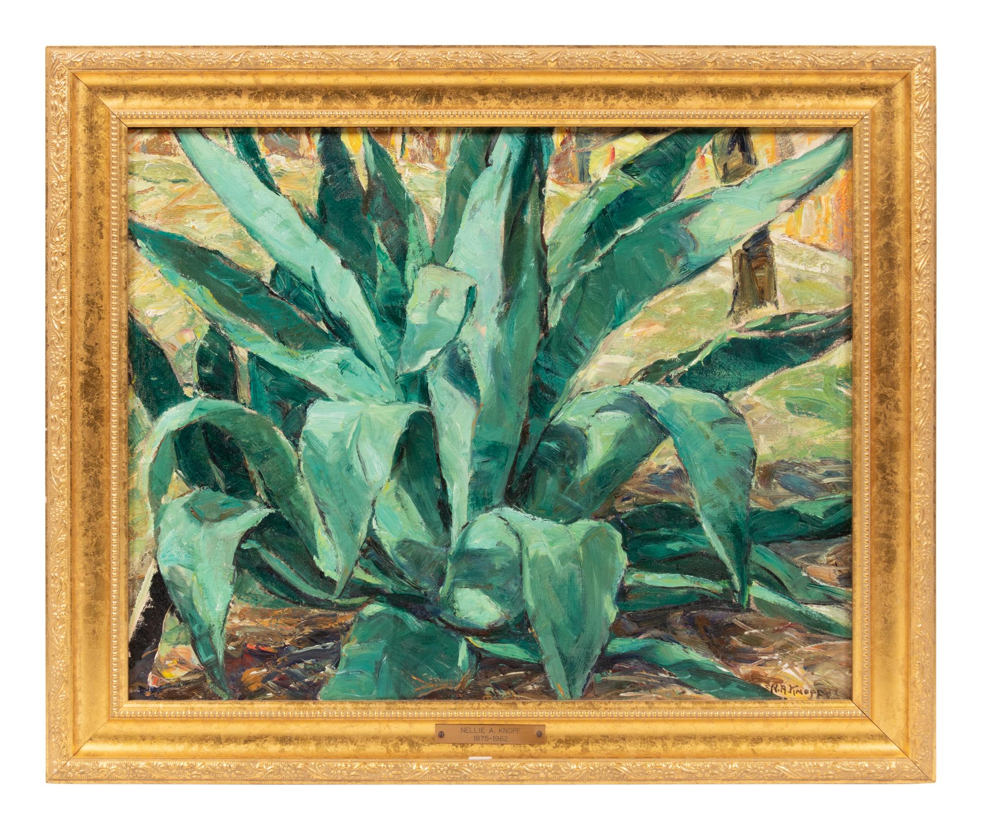 Century Plant near San Antonio