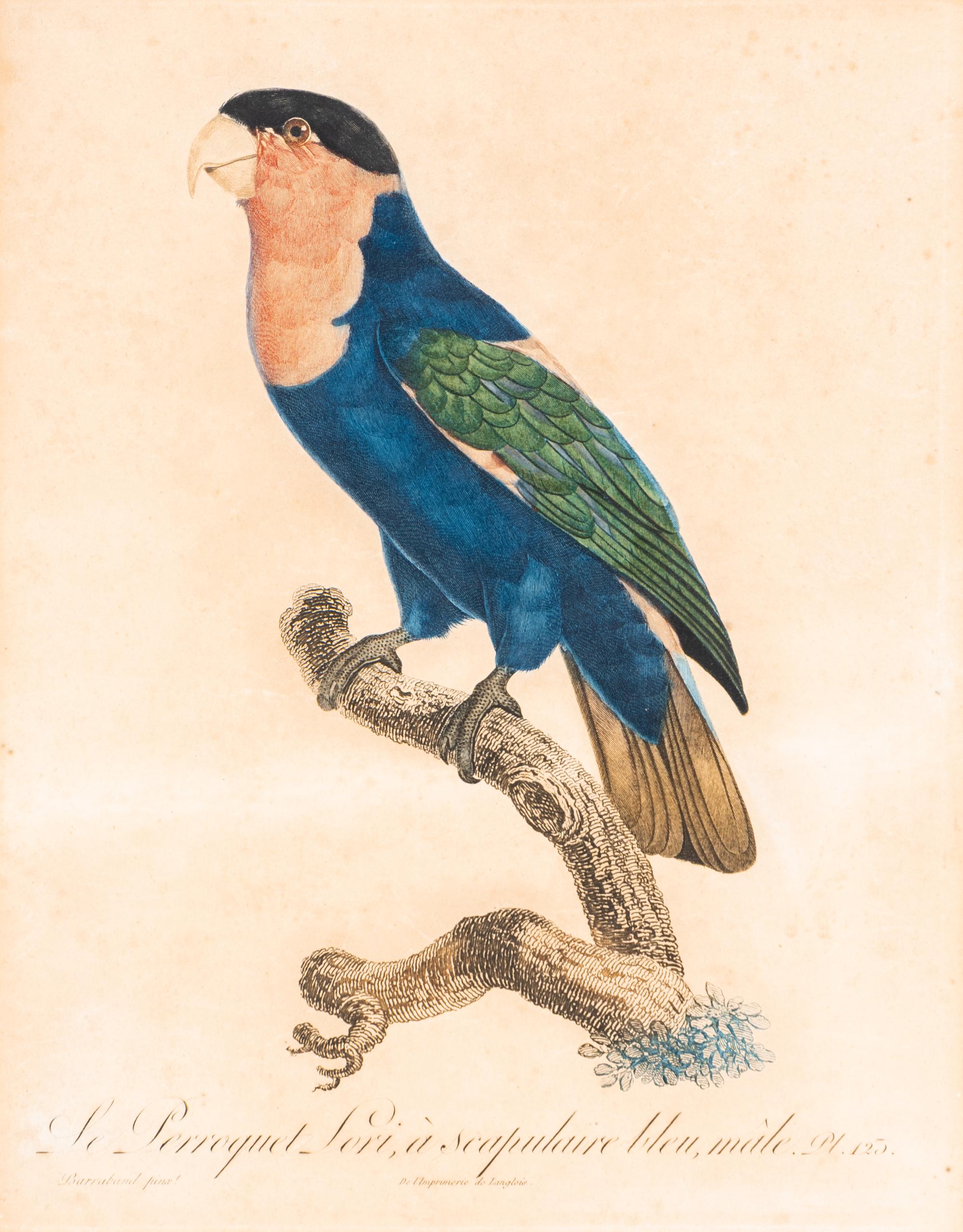 A Group of Nine Hand-Colored Engravings of Birds